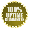 100 percent web hosting uptime guarantee 100 percent Michigan web hosting uptime guarantee